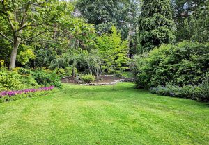 Optimiser l'expérience du jardin à Monestier-de-Clermont